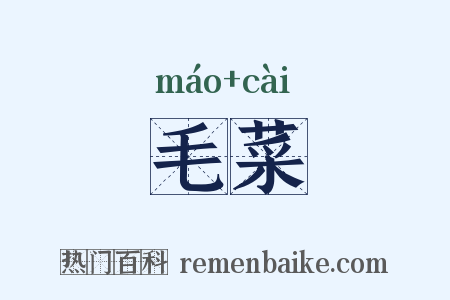 毛菜是什么意思的图片